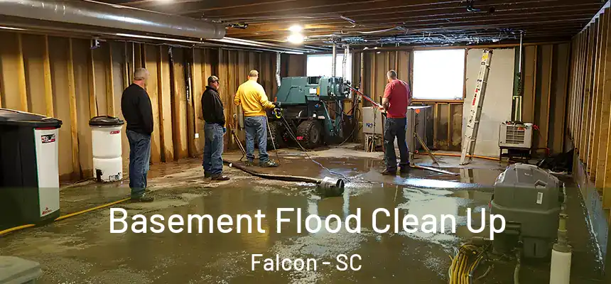  Basement Flood Clean Up Falcon - SC