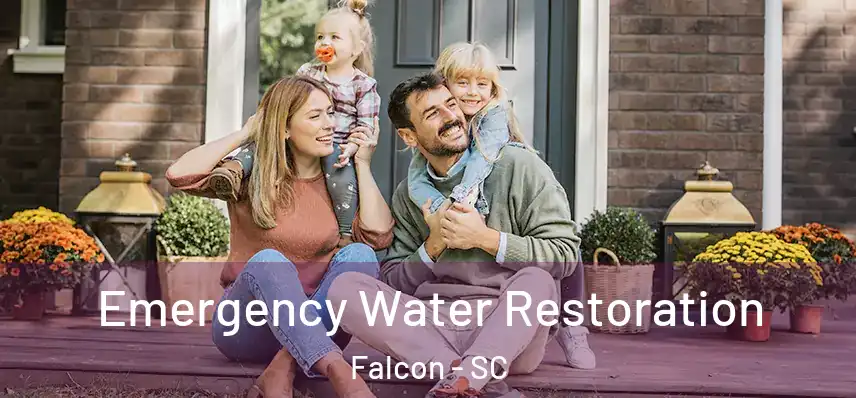  Emergency Water Restoration Falcon - SC