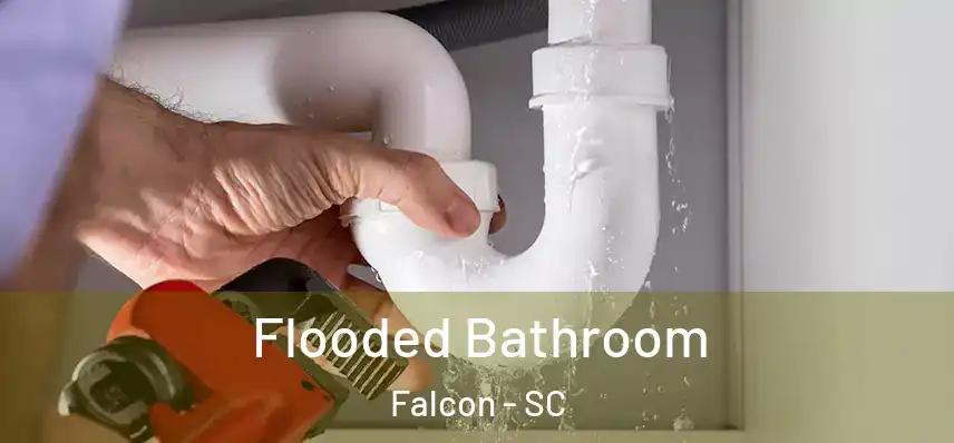  Flooded Bathroom Falcon - SC
