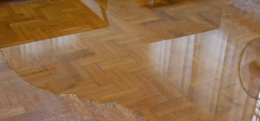 Fire and Flood Restoration in Falcon