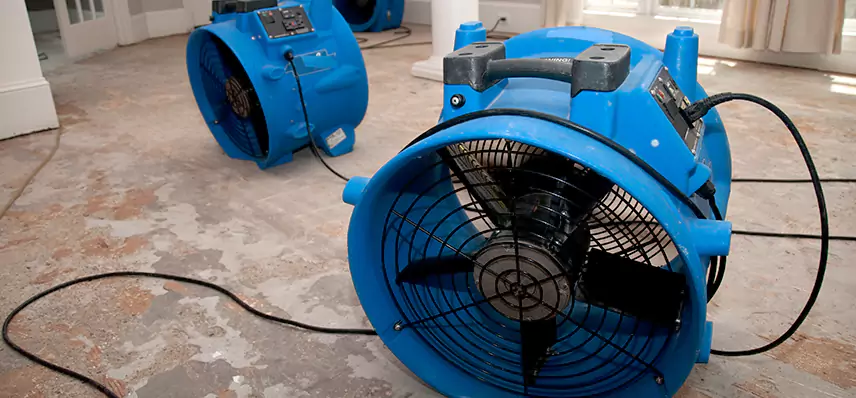 Sewage Removal Services in Falcon