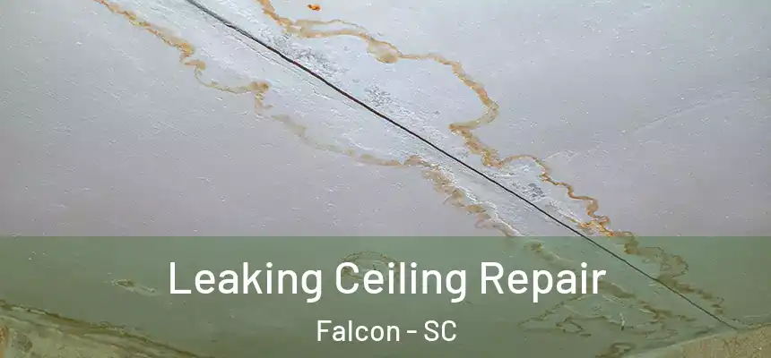  Leaking Ceiling Repair Falcon - SC