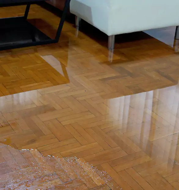 Trusted Emergency Water Restoration Company in Falcon, SC