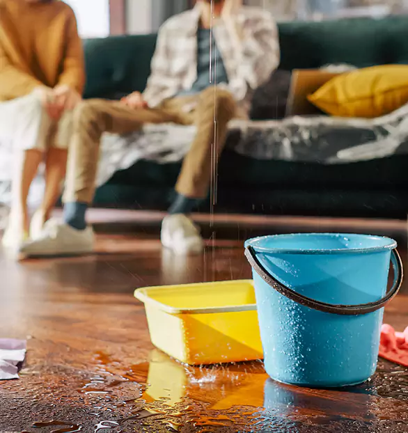 Trusted Water Remediation Company in Falcon, SC