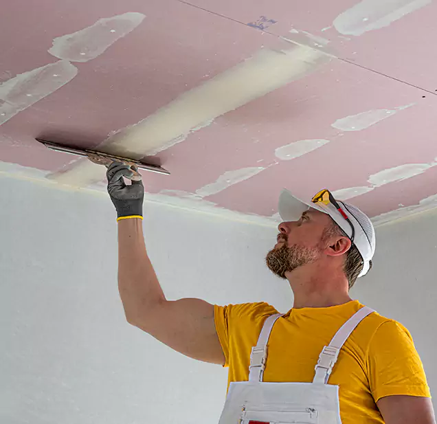  Why Choose Falcon Rapid Restoration for Leaking Ceiling Repair in Falcon, SC?