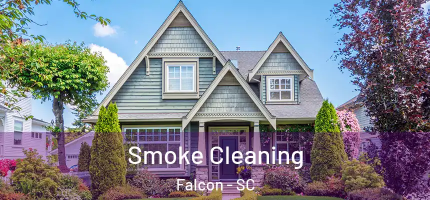  Smoke Cleaning Falcon - SC