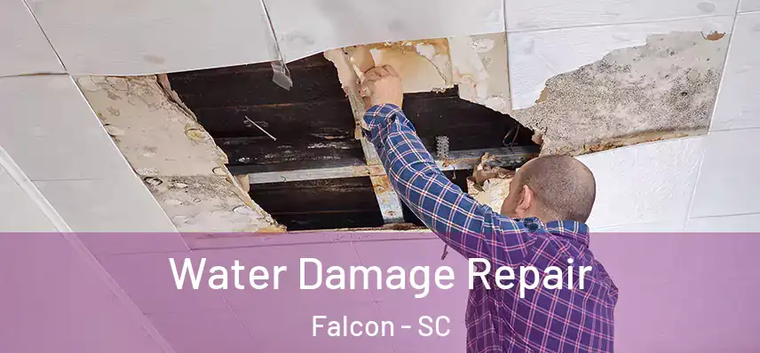  Water Damage Repair Falcon - SC