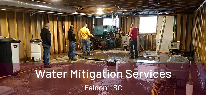 Water Mitigation Services Falcon - SC