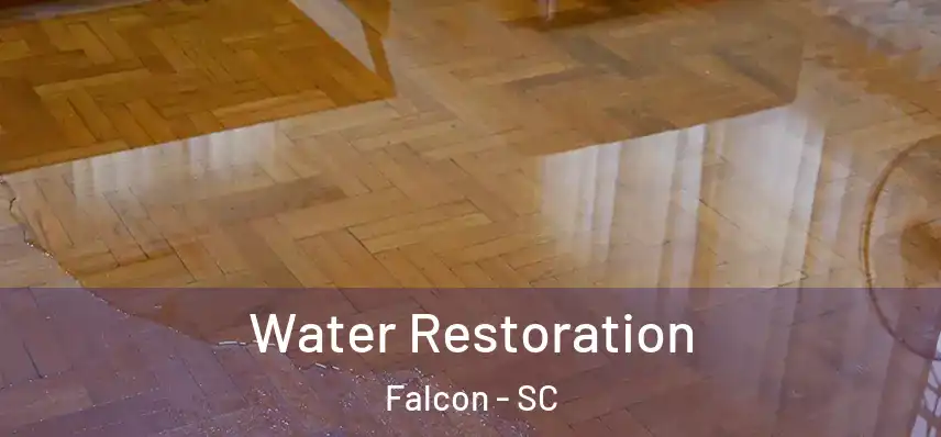 Water Restoration Falcon - SC