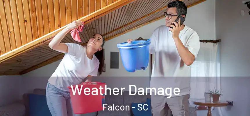  Weather Damage Falcon - SC